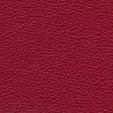 Pelle colore Bordo