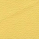 Pelle colore Giallo