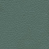 Pelle colore Verde