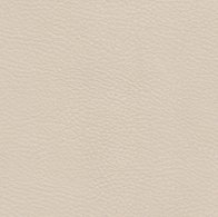 Pelle Maya colore 7318 Champagne