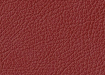 Pelle spessorata colore 3005 Bordo