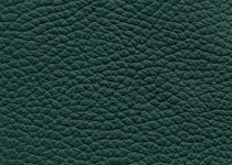 Pelle spessorata colore 3021 Foresta