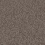 Pelle Natural colore visione